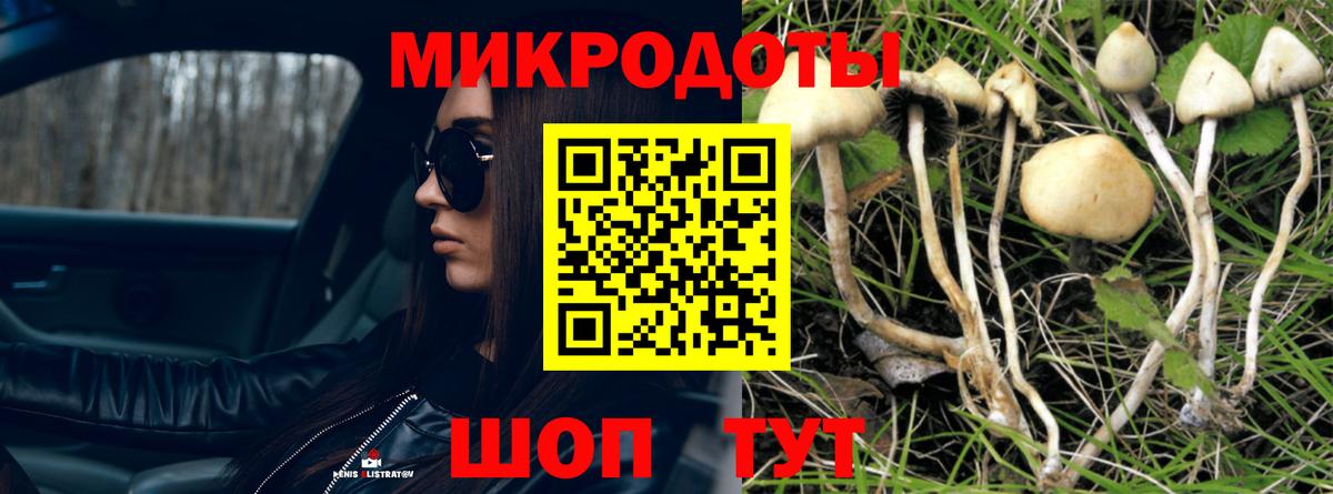 Добрянка  Псилоцибиновые грибы Cubensis  купить наркоту  Вход с VPN 